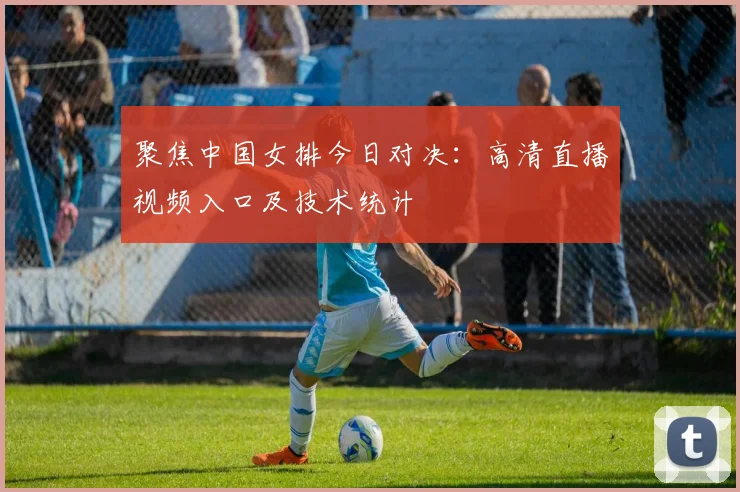 聚焦中国女排今日对决：高清直播视频入口及技术统计